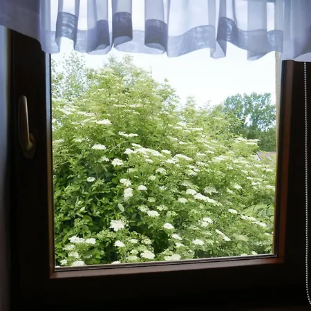 Letniskowe U Wiktorii