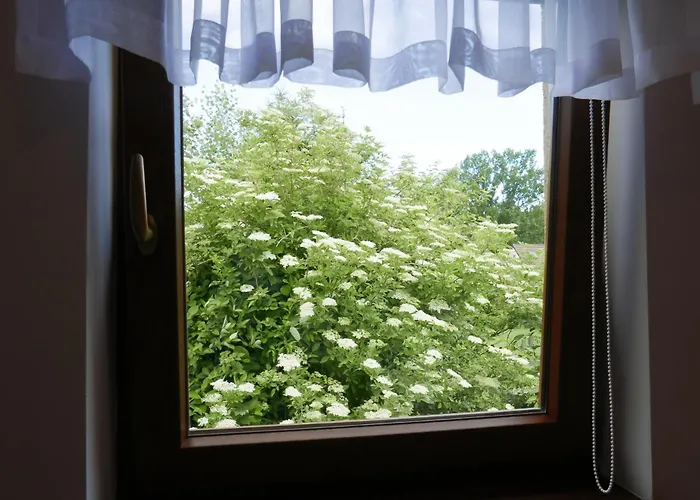 Letniskowe U Wiktorii